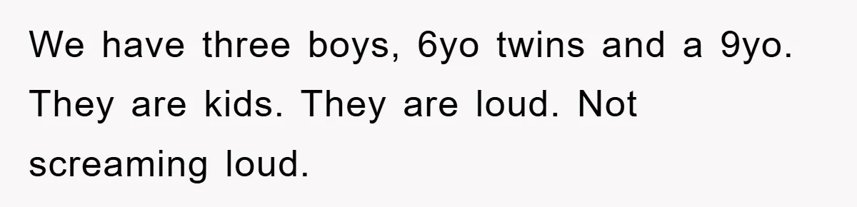We have three boys, 6yo twins and a 9yo. They are kids. They are loud. Not screaming loud.