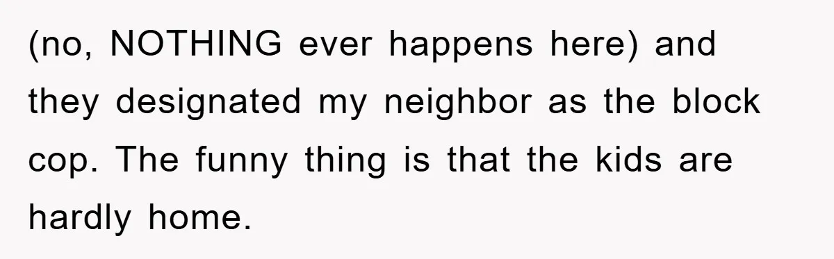 (no, NOTHING ever happens here) and they designated my neighbor as the block cop. The funny thing is that the kids are hardly home.