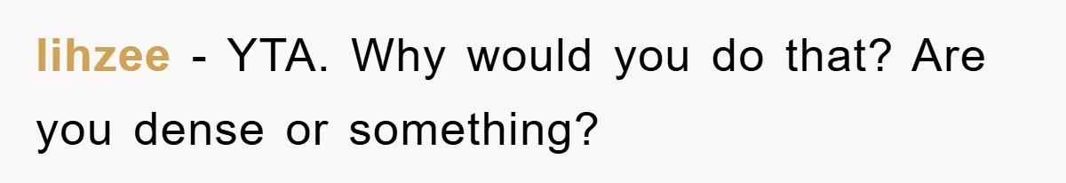lihzee − YTA. Why would you do that? Are you dense or something?