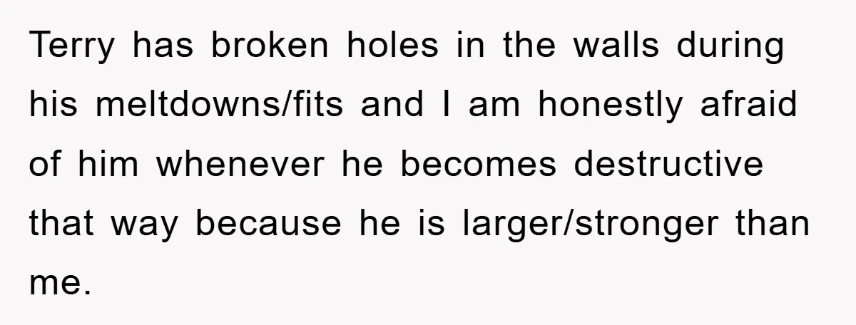 Terry has broken holes in the walls during his meltdowns/fits and I am honestly afraid of him whenever he becomes destructive that way because he is larger/stronger than me.