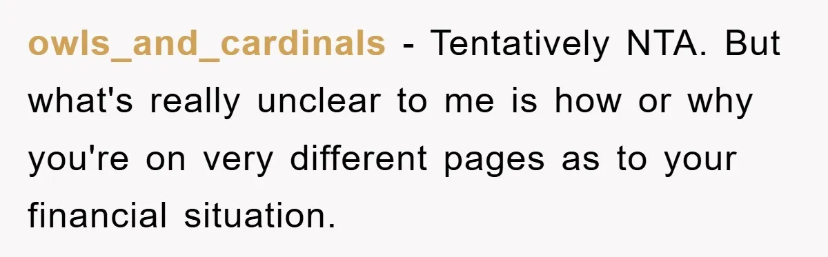 owls_and_cardinals − Tentatively NTA. But what's really unclear to me is how or why you're on very different pages as to your financial situation.