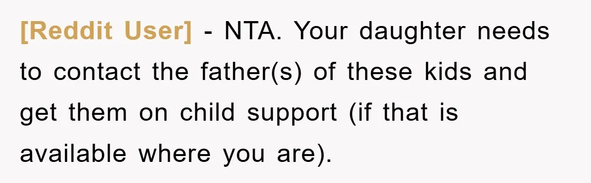 [Reddit User] − NTA. Your daughter needs to contact the father(s) of these kids and get them on child support (if that is available where you are).