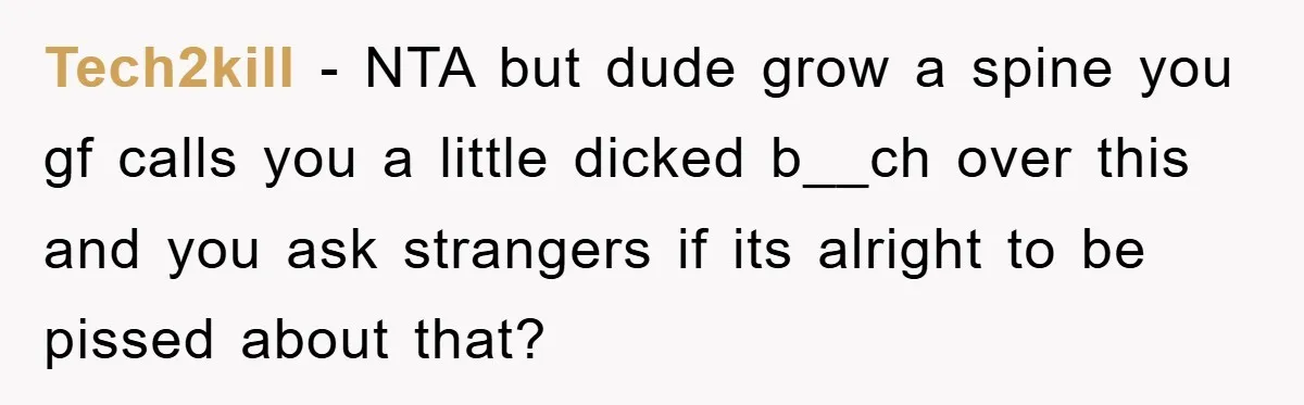 Tech2kill − NTA but dude grow a spine you gf calls you a little dicked b__ch over this and you ask strangers if its alright to be pissed about that?