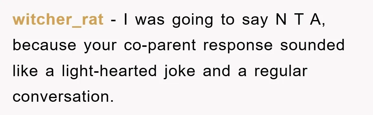 witcher_rat − I was going to say N T A, because your co-parent response sounded like a light-hearted joke and a regular conversation.