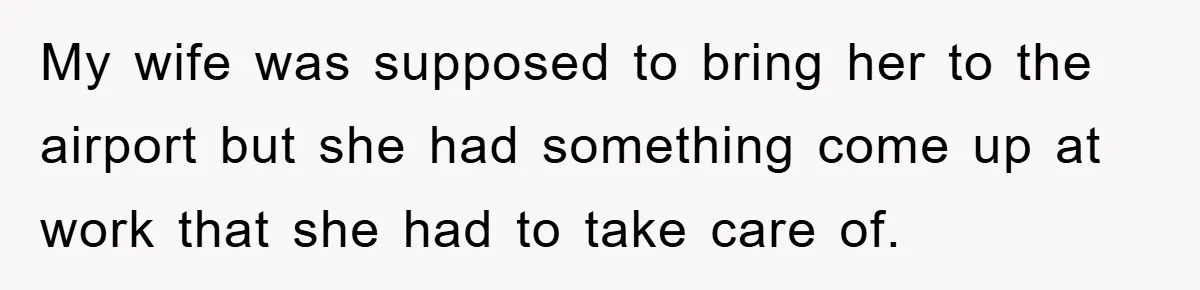 My wife was supposed to bring her to the airport but she had something come up at work that she had to take care of.