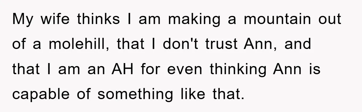 My wife thinks I am making a mountain out of a molehill, that I don't trust Ann, and that I am an AH for even thinking Ann is capable of...