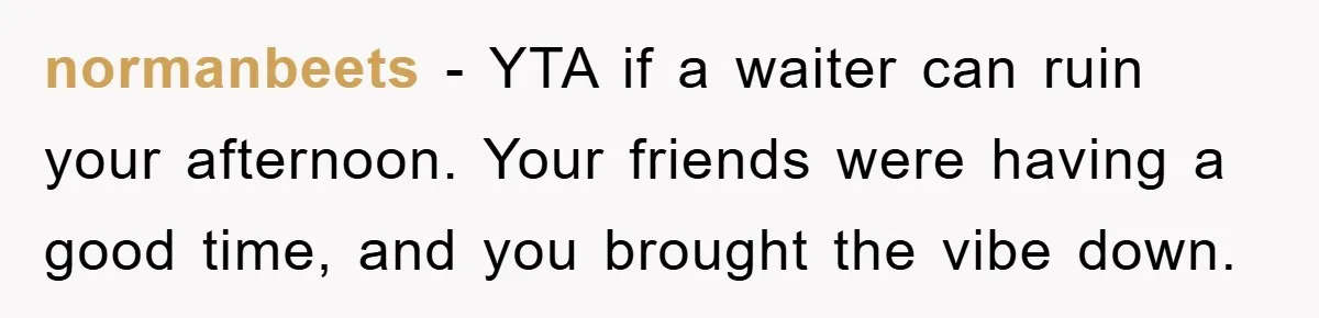 normanbeets − YTA if a waiter can ruin your afternoon. Your friends were having a good time, and you brought the vibe down.