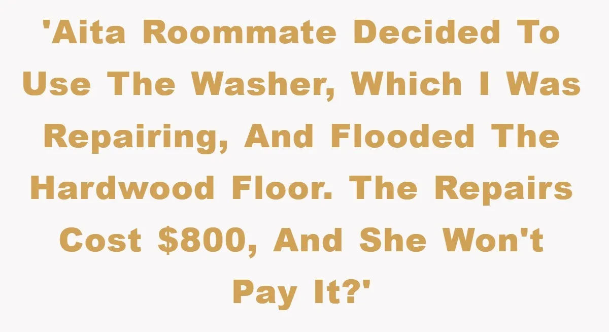 Roommate Ignores Instructions, Floods Hardwood Floor, And Refuses To Pay The Repair Bill 'AITA Roommate decided to use the washer, which I was repairing, and flooded the hardwood floor. The repairs cost $800, and she won't pay it?'