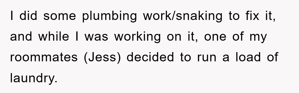 Roommate Ignores Instructions, Floods Hardwood Floor, And Refuses To Pay The Repair Bill I did some plumbing work/snaking to fix it, and while I was working on it, one of my roommates (Jess) decided to run a load of laundry.