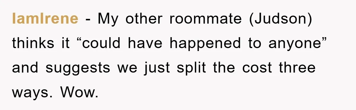 Roommate Ignores Instructions, Floods Hardwood Floor, And Refuses To Pay The Repair Bill IamIrene − My other roommate (Judson) thinks it “could have happened to anyone” and suggests we just split the cost three ways. Wow.