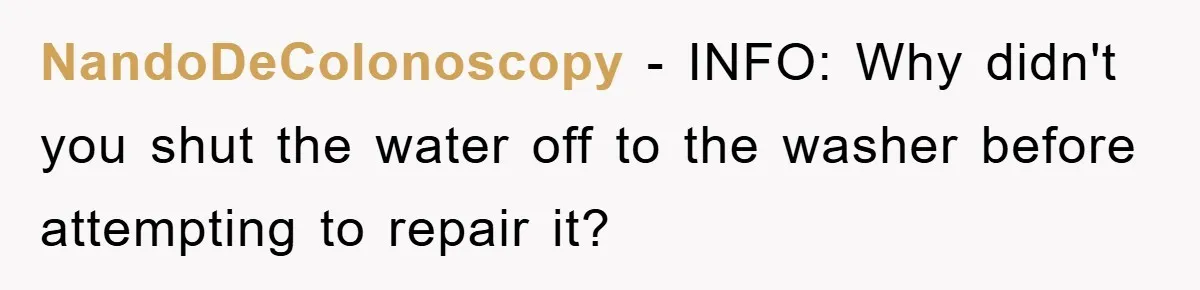 Roommate Ignores Instructions, Floods Hardwood Floor, And Refuses To Pay The Repair Bill NandoDeColonoscopy − INFO: Why didn't you shut the water off to the washer before attempting to repair it?