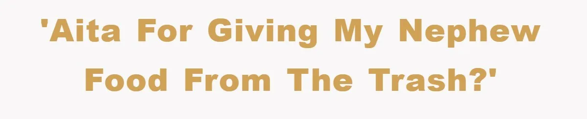 'AITA for giving my nephew food from the trash?'