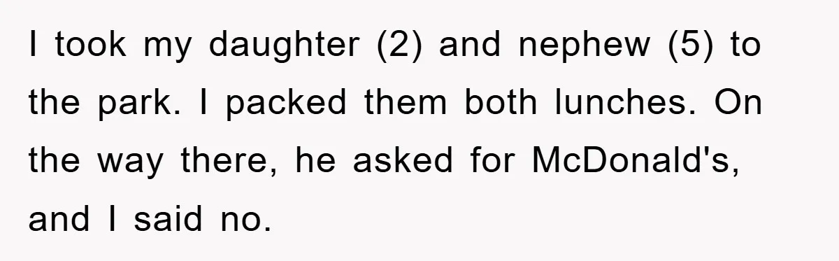 I took my daughter (2) and nephew (5) to the park. I packed them both lunches. On the way there, he asked for McDonald's, and I said no.