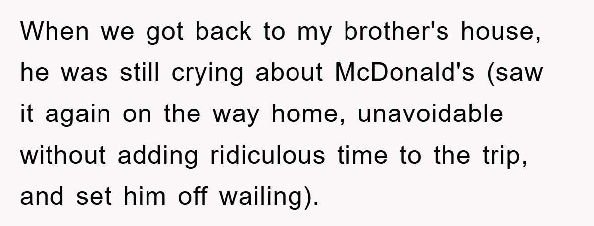 When we got back to my brother's house, he was still crying about McDonald's (saw it again on the way home, unavoidable without adding ridiculous time to the trip, and...