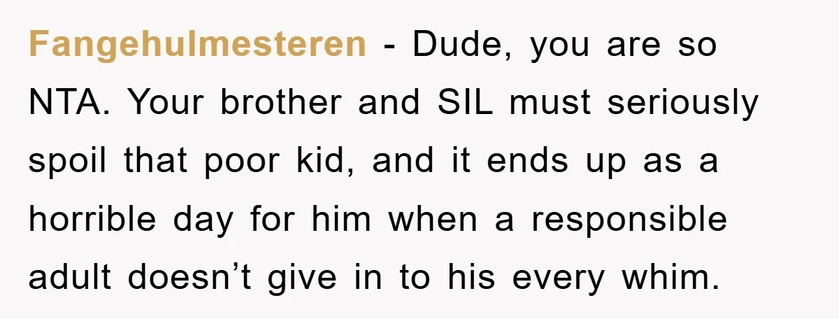 Fangehulmesteren − Dude, you are so NTA. Your brother and SIL must seriously spoil that poor kid, and it ends up as a horrible day for him when a responsible...