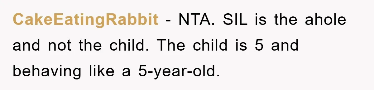 CakeEatingRabbit − NTA. SIL is the ahole and not the child. The child is 5 and behaving like a 5-year-old.