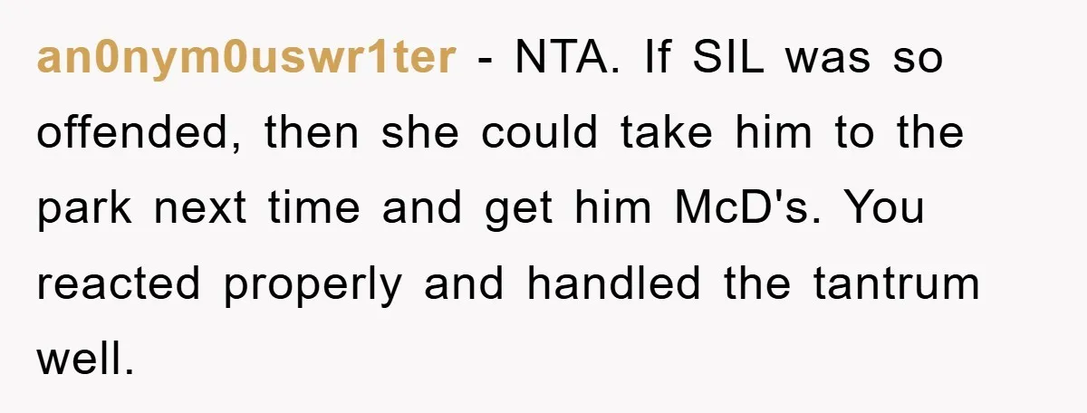 an0nym0uswr1ter − NTA. If SIL was so offended, then she could take him to the park next time and get him McD's. You reacted properly and handled the tantrum well.