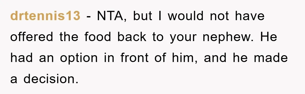 drtennis13 − NTA, but I would not have offered the food back to your nephew. He had an option in front of him, and he made a decision.