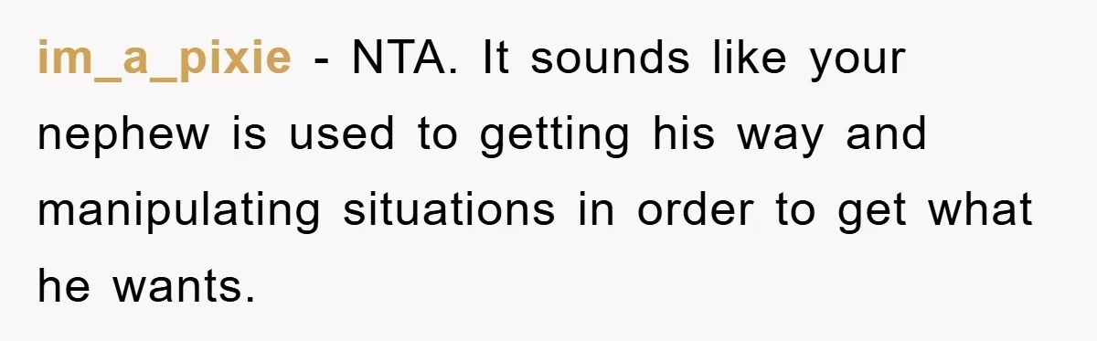 im_a_pixie − NTA. It sounds like your nephew is used to getting his way and manipulating situations in order to get what he wants.
