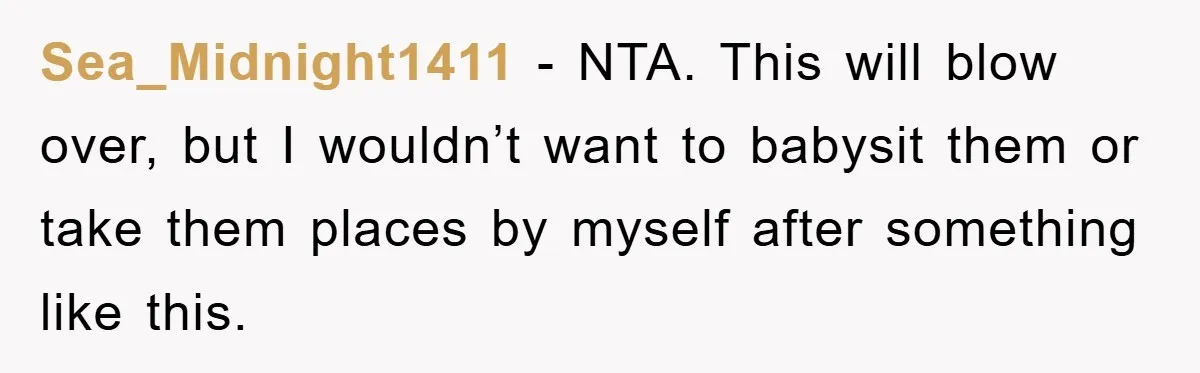 Sea_Midnight1411 − NTA. This will blow over, but I wouldn’t want to babysit them or take them places by myself after something like this.