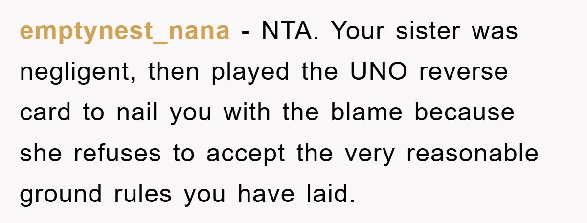 emptynest_nana − NTA. Your sister was negligent, then played the UNO reverse card to nail you with the blame because she refuses to accept the very reasonable ground rules you...