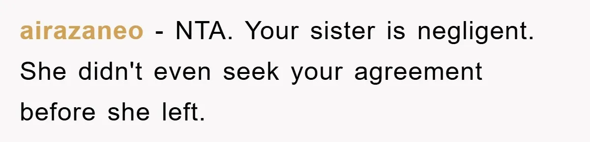 airazaneo − NTA. Your sister is negligent. She didn't even seek your agreement before she left.