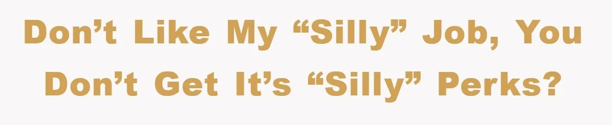 Don’t like my “Silly” job, you don’t get it’s “Silly” perks?