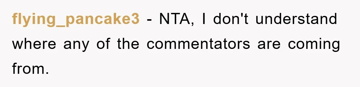 flying_pancake3 − NTA, I don't understand where any of the commentators are coming from.