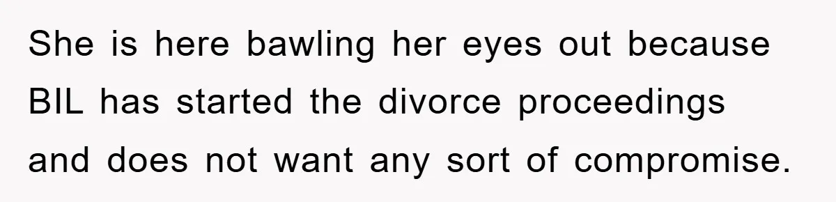 She is here bawling her eyes out because BIL has started the divorce proceedings and does not want any sort of compromise.