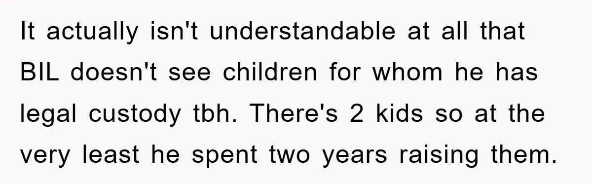 It actually isn't understandable at all that BIL doesn't see children for whom he has legal custody tbh. There's 2 kids so at the very least he spent two years...