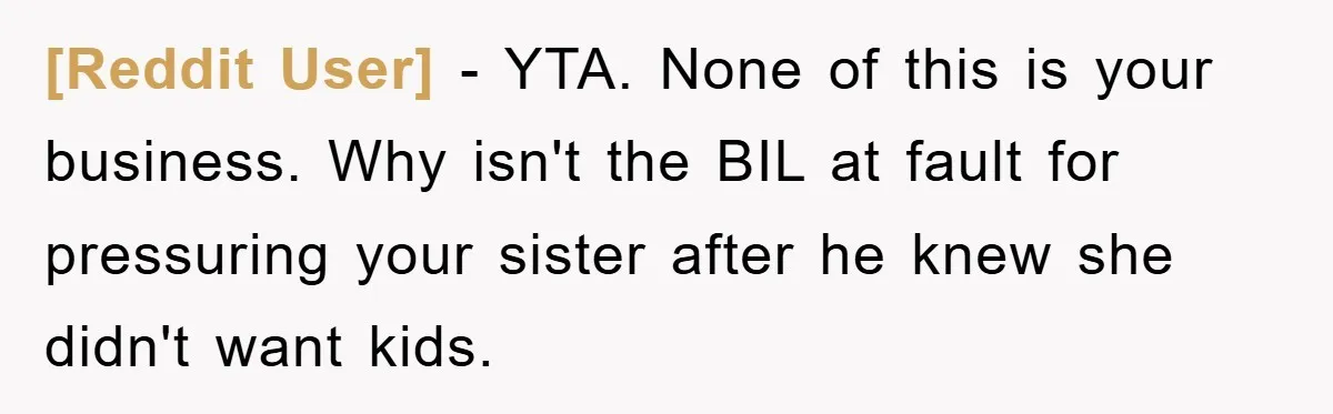 [Reddit User] − YTA. None of this is your business. Why isn't the BIL at fault for pressuring your sister after he knew she didn't want kids.