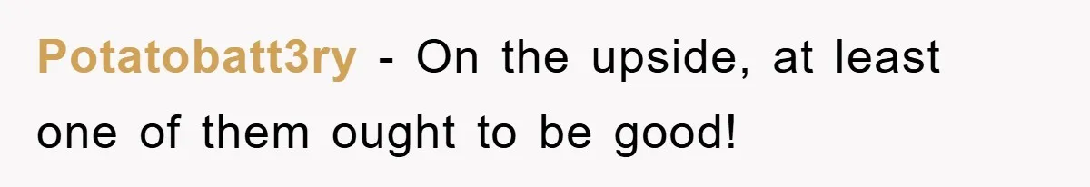 Potatobatt3ry − On the upside, at least one of them ought to be good!