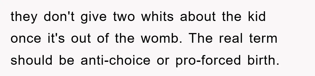 they don't give two whits about the kid once it's out of the womb. The real term should be anti-choice or pro-forced birth.
