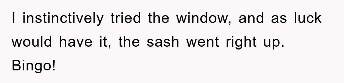 I instinctively tried the window, and as luck would have it, the sash went right up. Bingo!