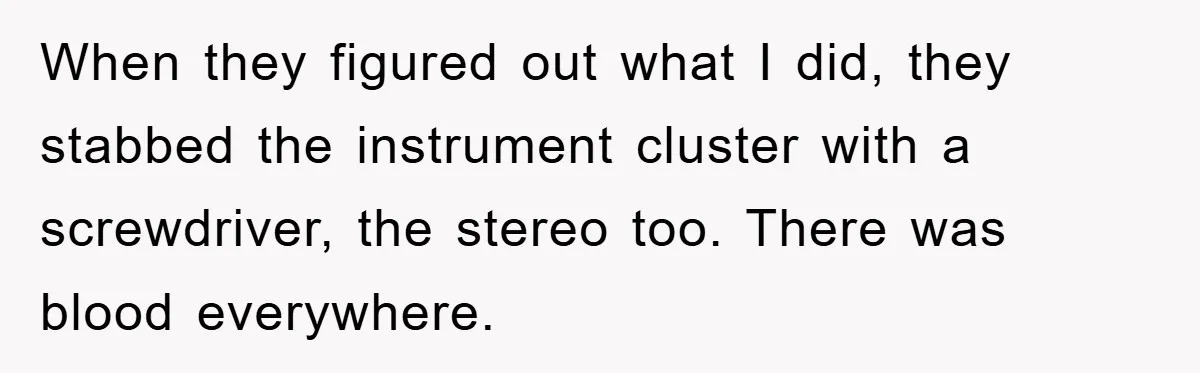 When they figured out what I did, they stabbed the instrument cluster with a screwdriver, the stereo too. There was blood everywhere.