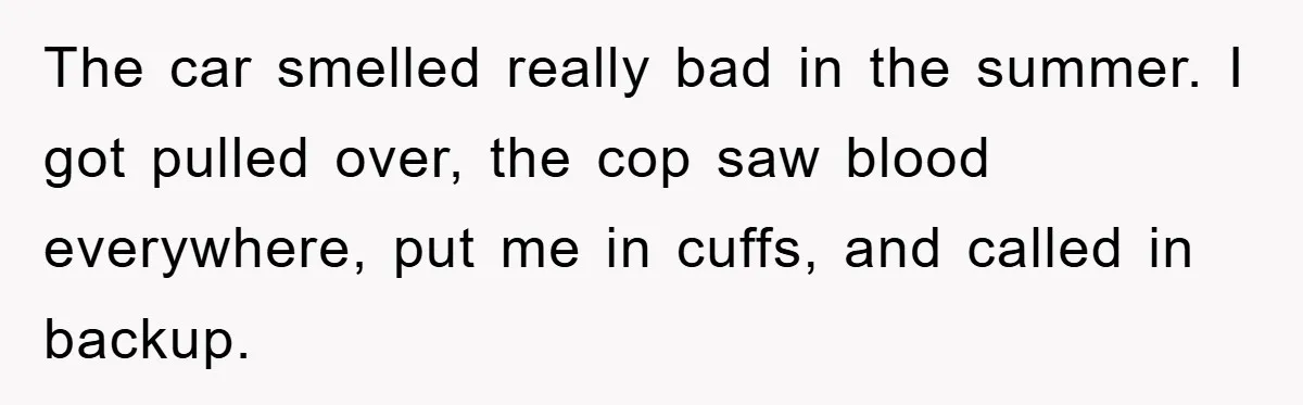 The car smelled really bad in the summer. I got pulled over, the cop saw blood everywhere, put me in cuffs, and called in backup.