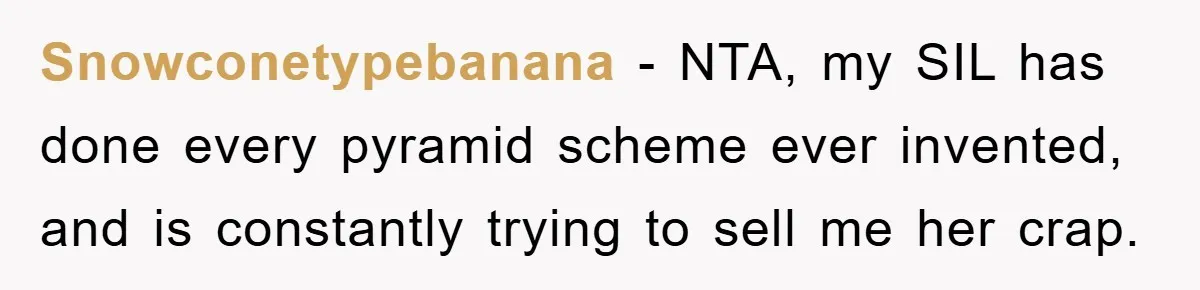 Snowconetypebanana − NTA, my SIL has done every pyramid scheme ever invented, and is constantly trying to sell me her crap.