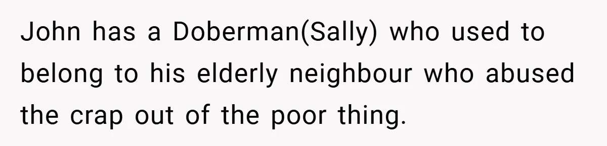 John has a Doberman(Sally) who used to belong to his elderly neighbour who abused the crap out of the poor thing.