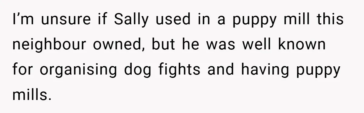 I’m unsure if Sally used in a puppy mill this neighbour owned, but he was well known for organising dog fights and having puppy mills.