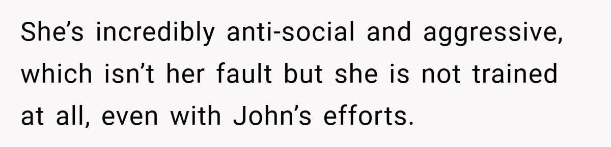 She’s incredibly anti-social and aggressive, which isn’t her fault but she is not trained at all, even with John’s efforts.