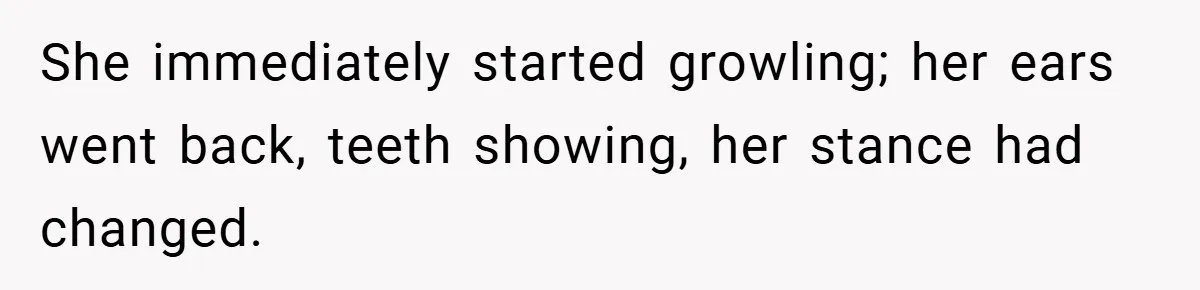 She immediately started growling; her ears went back, teeth showing, her stance had changed.