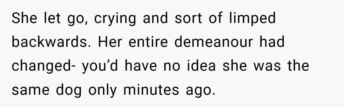 She let go, crying and sort of limped backwards. Her entire demeanour had changed- you’d have no idea she was the same dog only minutes ago.