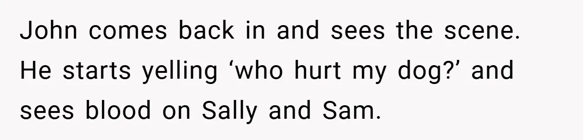 John comes back in and sees the scene. He starts yelling ‘who hurt my dog?’ and sees blood on Sally and Sam.