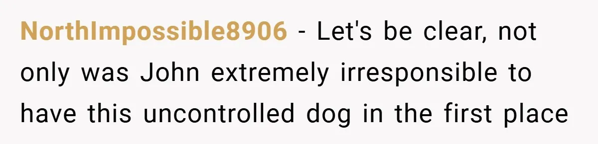 NorthImpossible8906 − Let's be clear, not only was John extremely irresponsible to have this uncontrolled dog in the first place