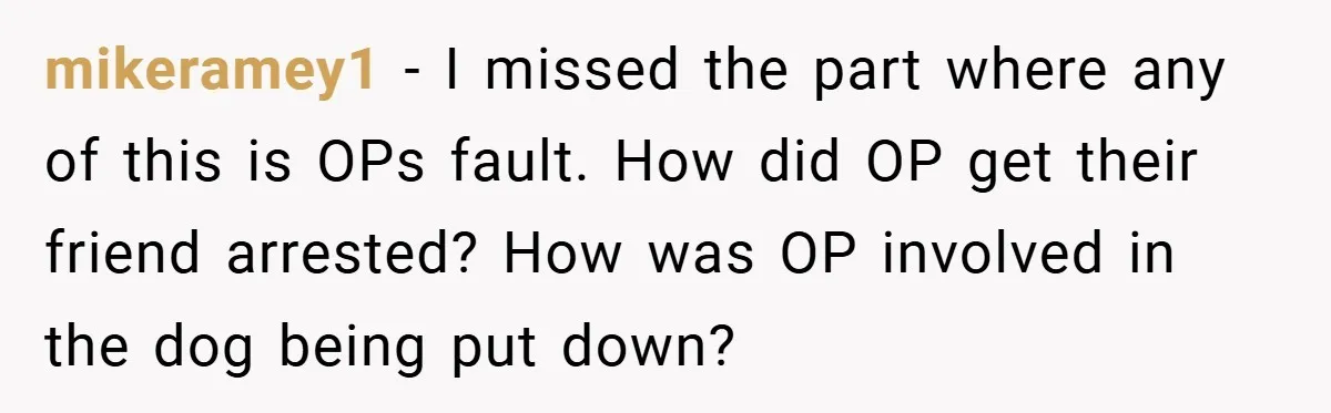 mikeramey1 − I missed the part where any of this is OPs fault. How did OP get their friend arrested? How was OP involved in the dog being put down?