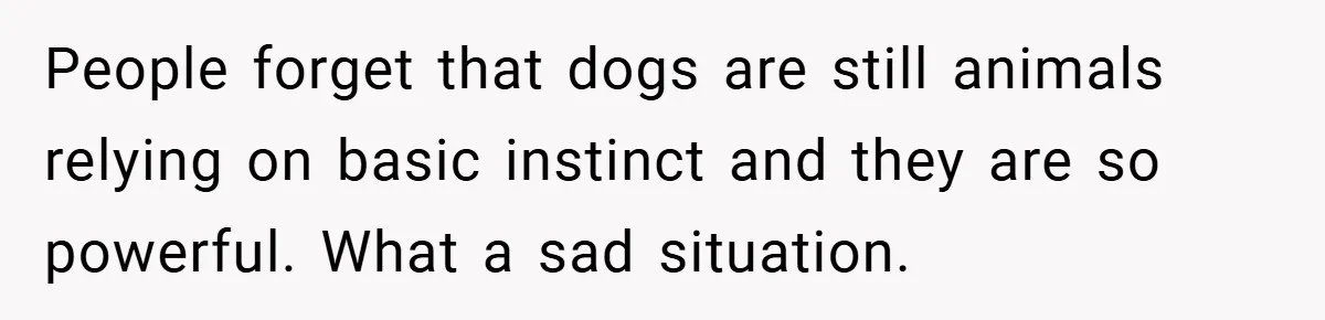 People forget that dogs are still animals relying on basic instinct and they are so powerful. What a sad situation.