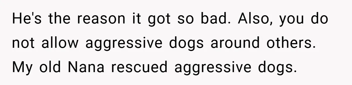 He's the reason it got so bad. Also, you do not allow aggressive dogs around others. My old Nana rescued aggressive dogs.