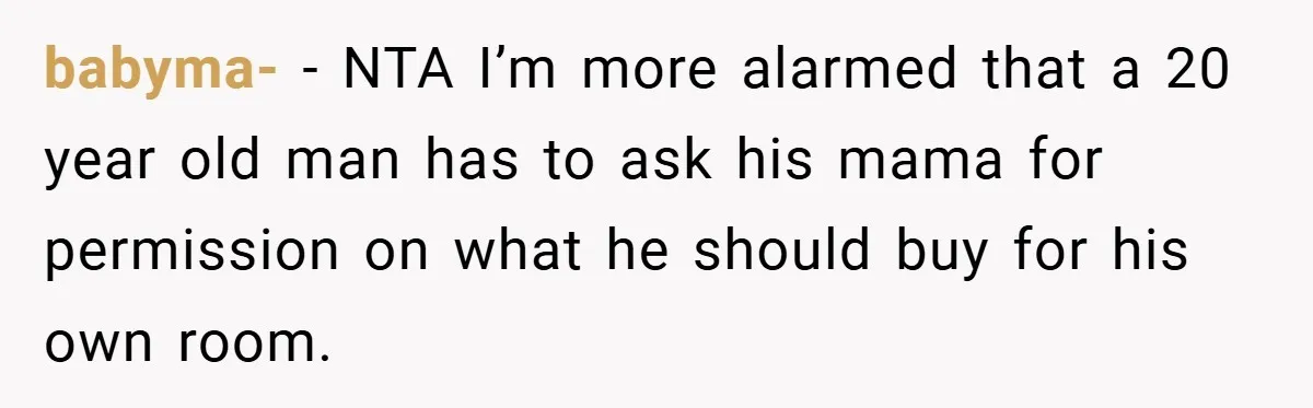 babyma- − NTA I’m more alarmed that a 20 year old man has to ask his mama for permission on what he should buy for his own room.