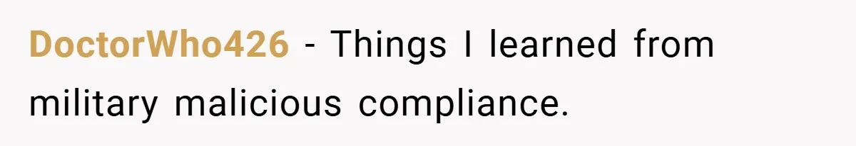DoctorWho426 − Things I learned from military malicious compliance.