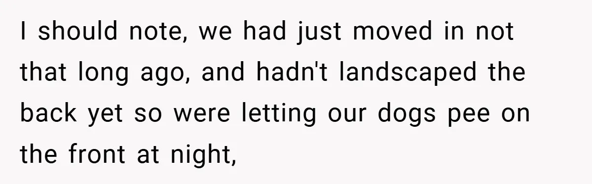 I should note, we had just moved in not that long ago, and hadn't landscaped the back yet so were letting our dogs pee on the front at night,
